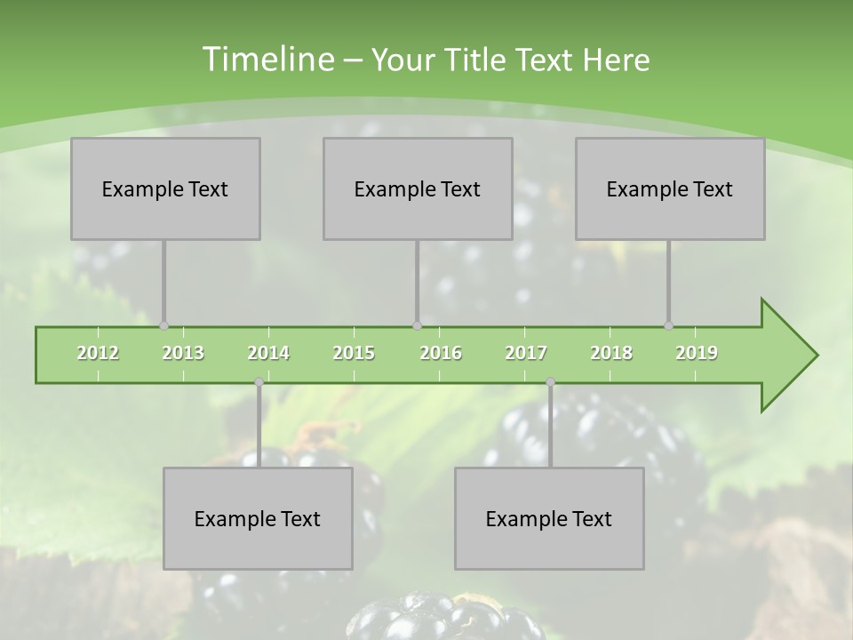 A Bunch Of Blackberries On A Green Leaf Powerpoint Template PowerPoint Template