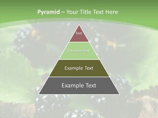 A Bunch Of Blackberries On A Green Leaf Powerpoint Template PowerPoint Template