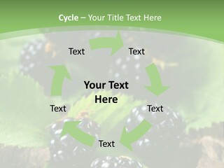 A Bunch Of Blackberries On A Green Leaf Powerpoint Template PowerPoint Template