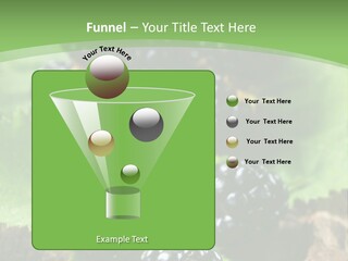 A Bunch Of Blackberries On A Green Leaf Powerpoint Template PowerPoint Template