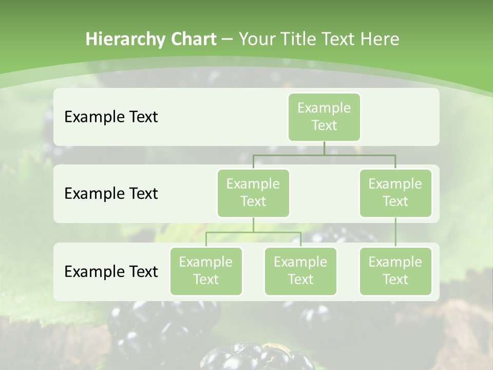 A Bunch Of Blackberries On A Green Leaf Powerpoint Template PowerPoint Template