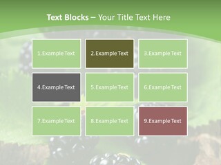 A Bunch Of Blackberries On A Green Leaf Powerpoint Template PowerPoint Template