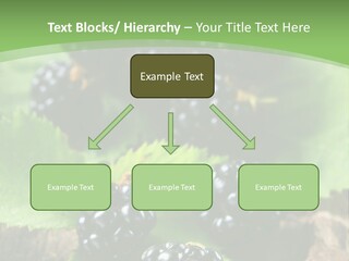 A Bunch Of Blackberries On A Green Leaf Powerpoint Template PowerPoint Template