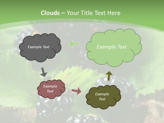 A Bunch Of Blackberries On A Green Leaf Powerpoint Template PowerPoint Template