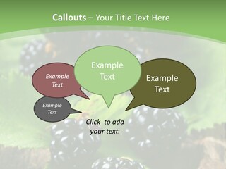 A Bunch Of Blackberries On A Green Leaf Powerpoint Template PowerPoint Template