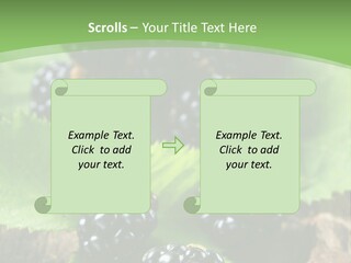 A Bunch Of Blackberries On A Green Leaf Powerpoint Template PowerPoint Template