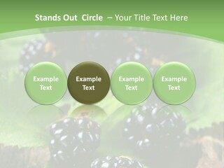 A Bunch Of Blackberries On A Green Leaf Powerpoint Template PowerPoint Template
