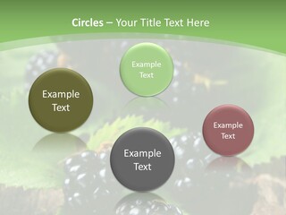 A Bunch Of Blackberries On A Green Leaf Powerpoint Template PowerPoint Template