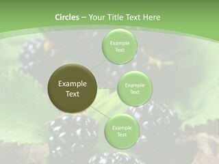 A Bunch Of Blackberries On A Green Leaf Powerpoint Template PowerPoint Template