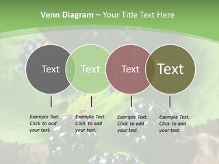 A Bunch Of Blackberries On A Green Leaf Powerpoint Template PowerPoint Template