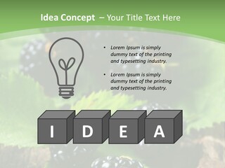 A Bunch Of Blackberries On A Green Leaf Powerpoint Template PowerPoint Template