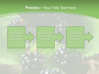 A Bunch Of Blackberries On A Green Leaf Powerpoint Template PowerPoint Template