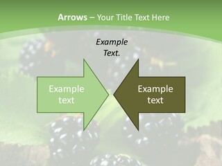 A Bunch Of Blackberries On A Green Leaf Powerpoint Template PowerPoint Template