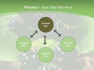 A Bunch Of Blackberries On A Green Leaf Powerpoint Template PowerPoint Template
