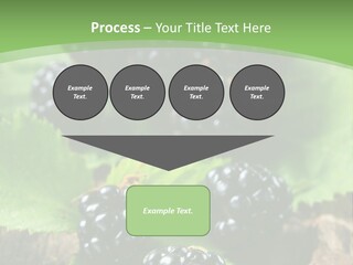 A Bunch Of Blackberries On A Green Leaf Powerpoint Template PowerPoint Template