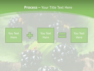 A Bunch Of Blackberries On A Green Leaf Powerpoint Template PowerPoint Template