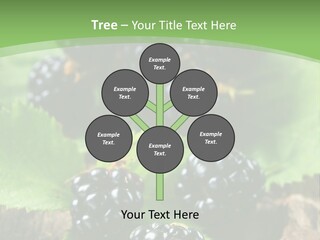 A Bunch Of Blackberries On A Green Leaf Powerpoint Template PowerPoint Template