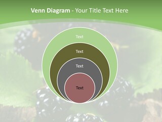 A Bunch Of Blackberries On A Green Leaf Powerpoint Template PowerPoint Template