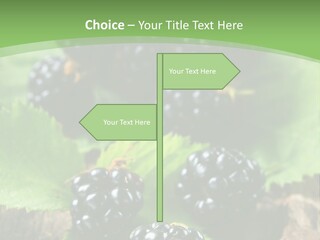 A Bunch Of Blackberries On A Green Leaf Powerpoint Template PowerPoint Template