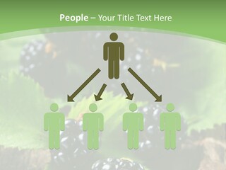 A Bunch Of Blackberries On A Green Leaf Powerpoint Template PowerPoint Template