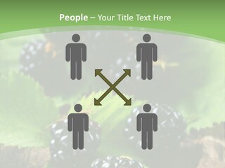 A Bunch Of Blackberries On A Green Leaf Powerpoint Template PowerPoint Template