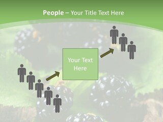 A Bunch Of Blackberries On A Green Leaf Powerpoint Template PowerPoint Template