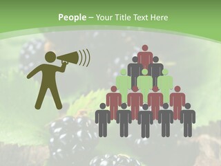 A Bunch Of Blackberries On A Green Leaf Powerpoint Template PowerPoint Template