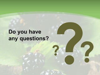 A Bunch Of Blackberries On A Green Leaf Powerpoint Template PowerPoint Template