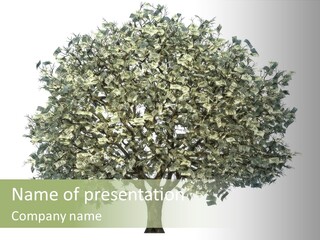 A Tree Filled With Lots Of Money On Top Of A White Background PowerPoint Template