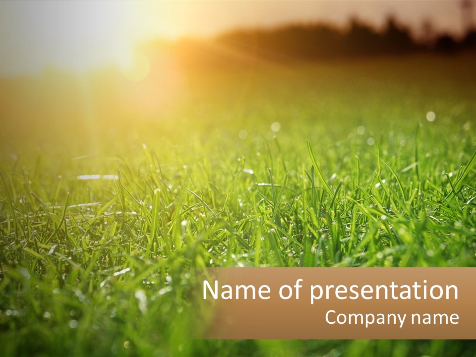 A Field Of Grass With The Sun In The Background PowerPoint Template