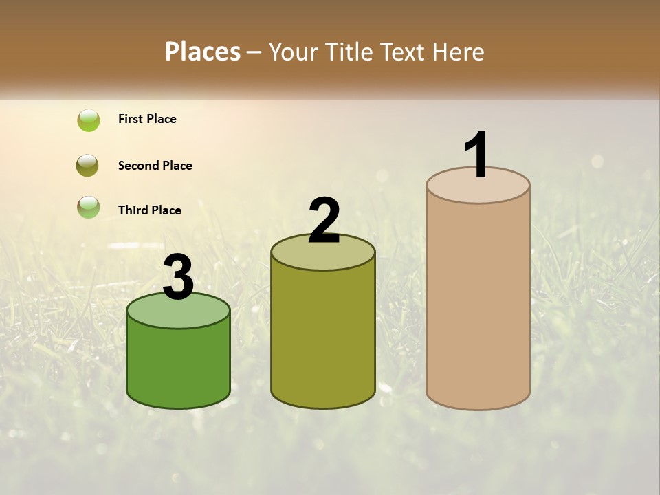 A Field Of Grass With The Sun In The Background PowerPoint Template