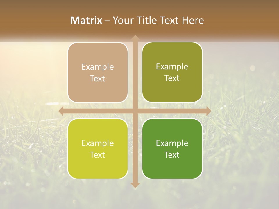 A Field Of Grass With The Sun In The Background PowerPoint Template