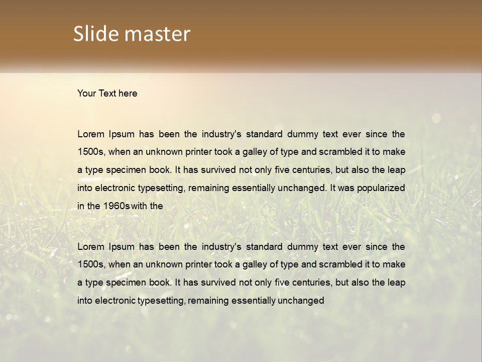 A Field Of Grass With The Sun In The Background PowerPoint Template