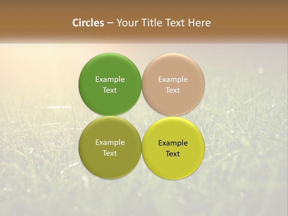 A Field Of Grass With The Sun In The Background PowerPoint Template