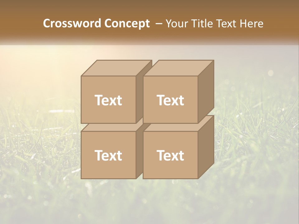 A Field Of Grass With The Sun In The Background PowerPoint Template