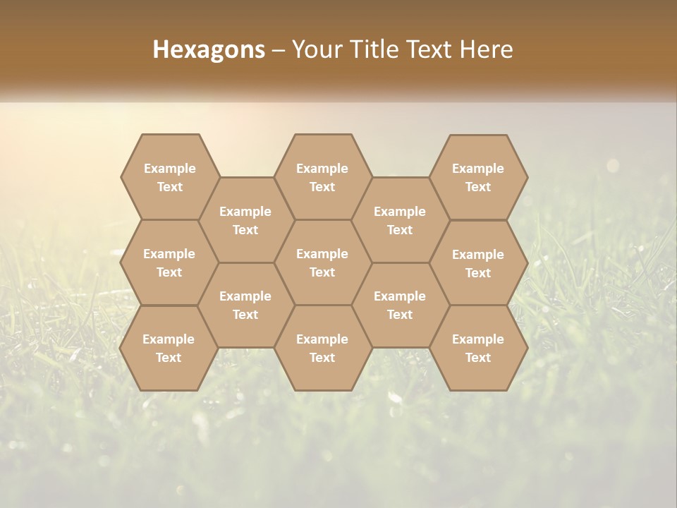 A Field Of Grass With The Sun In The Background PowerPoint Template