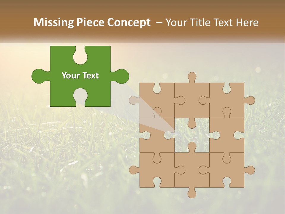 A Field Of Grass With The Sun In The Background PowerPoint Template