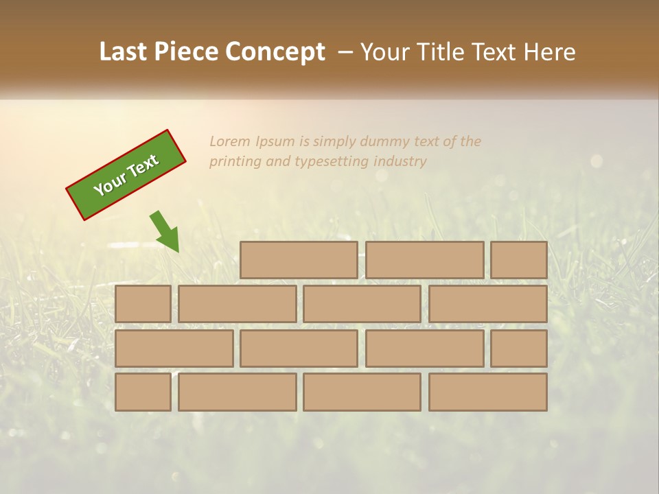 A Field Of Grass With The Sun In The Background PowerPoint Template
