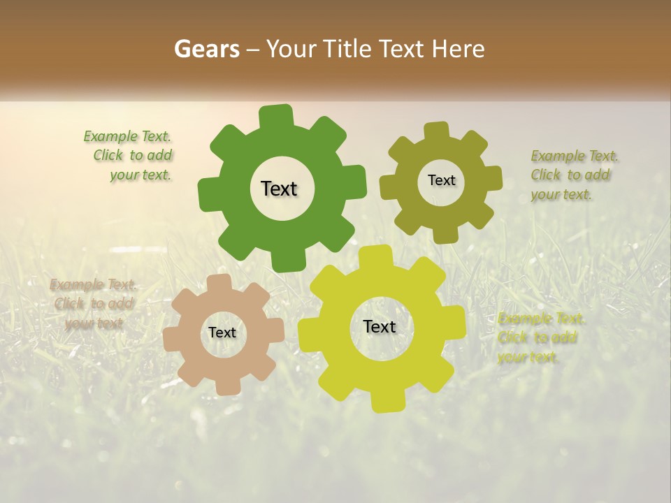 A Field Of Grass With The Sun In The Background PowerPoint Template