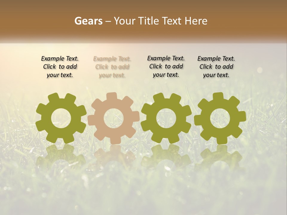 A Field Of Grass With The Sun In The Background PowerPoint Template