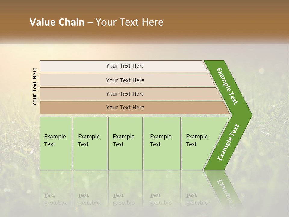 A Field Of Grass With The Sun In The Background PowerPoint Template