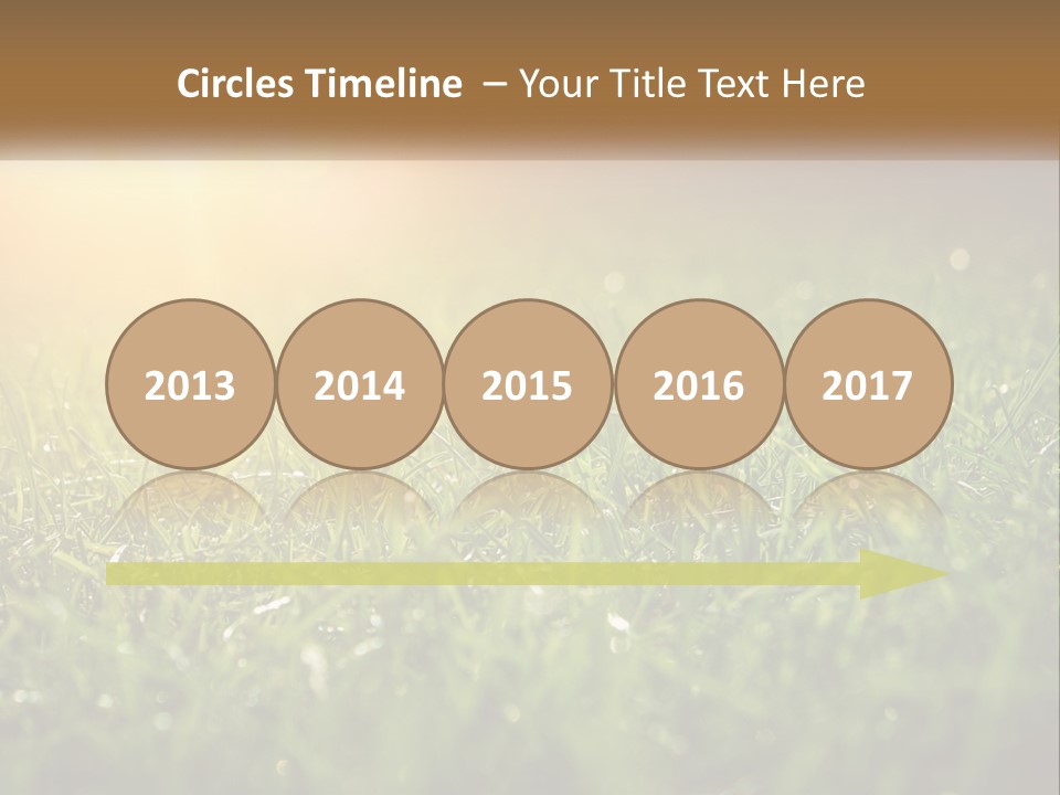 A Field Of Grass With The Sun In The Background PowerPoint Template
