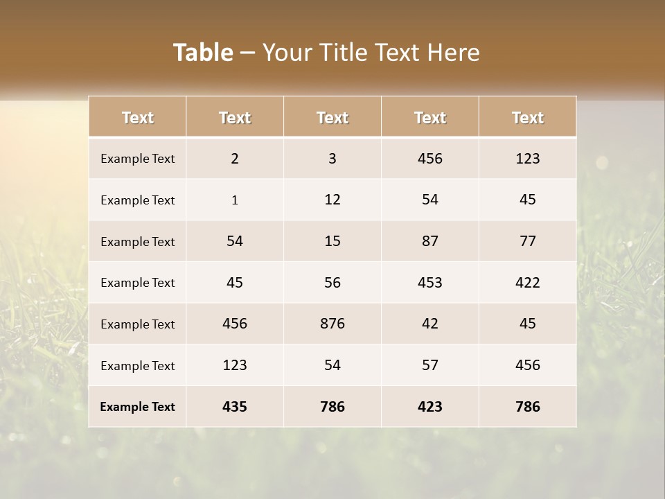 A Field Of Grass With The Sun In The Background PowerPoint Template