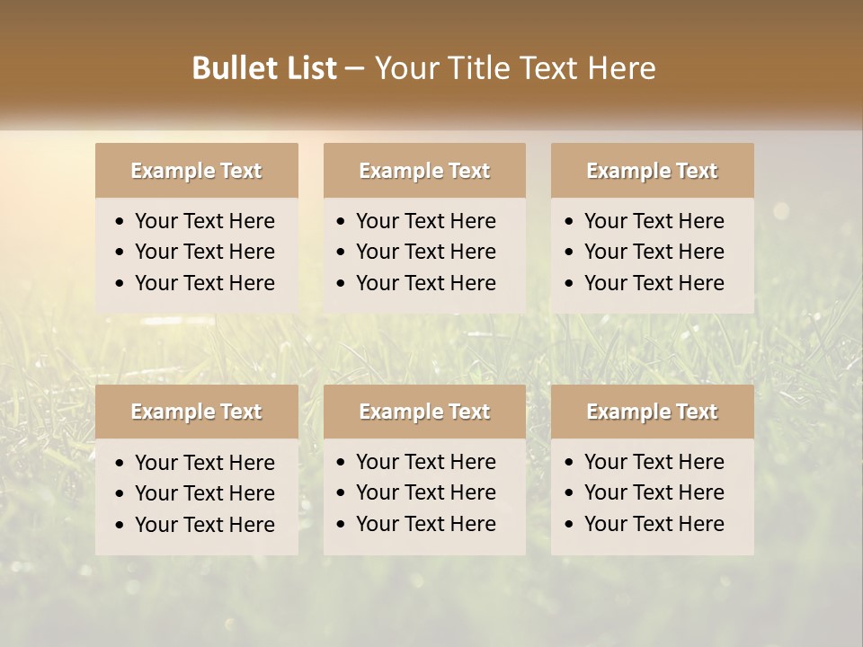 A Field Of Grass With The Sun In The Background PowerPoint Template