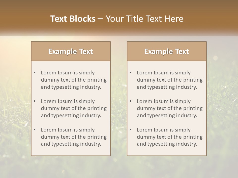A Field Of Grass With The Sun In The Background PowerPoint Template
