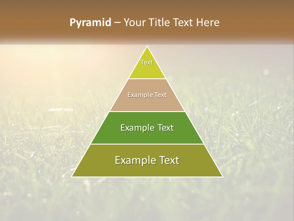 A Field Of Grass With The Sun In The Background PowerPoint Template