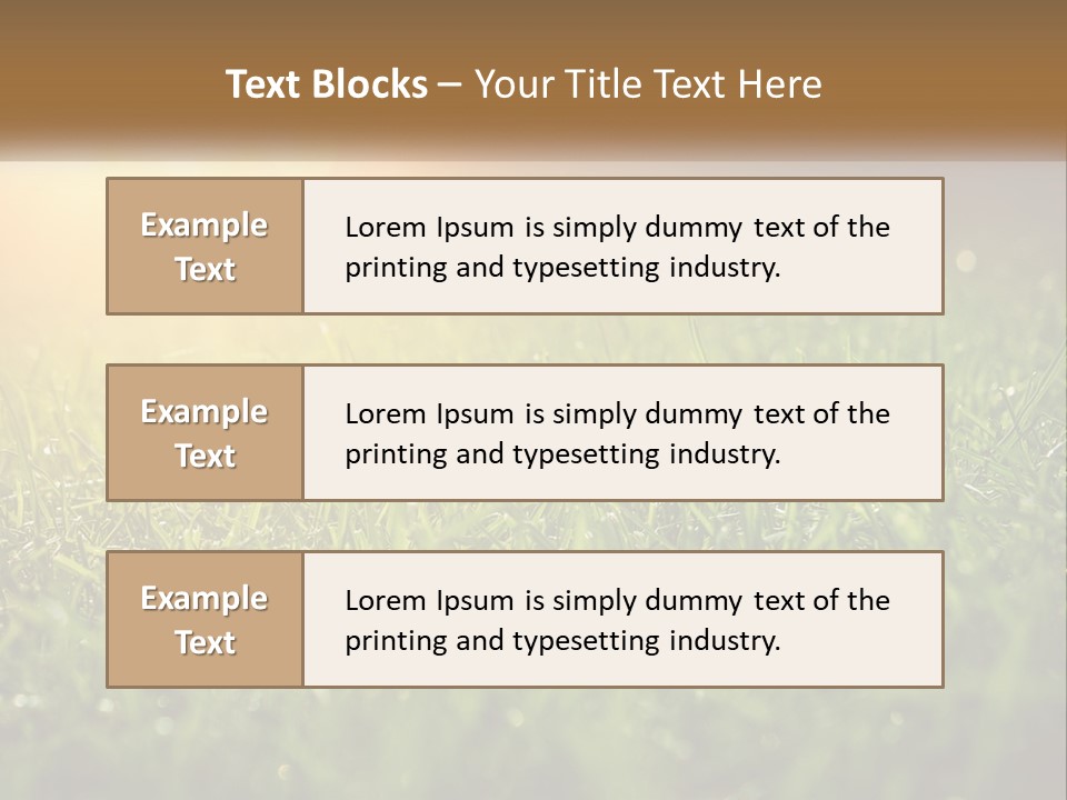 A Field Of Grass With The Sun In The Background PowerPoint Template