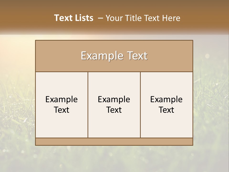 A Field Of Grass With The Sun In The Background PowerPoint Template