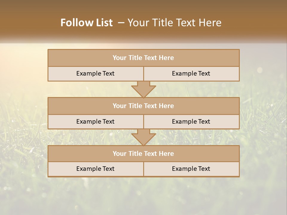 A Field Of Grass With The Sun In The Background PowerPoint Template