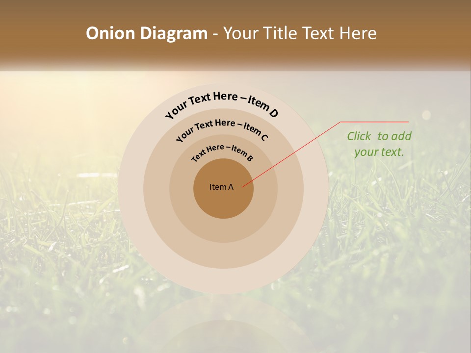 A Field Of Grass With The Sun In The Background PowerPoint Template